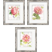 Framed 'Maison Des Fleurs 3 Piece Framed Art Print Set' border=