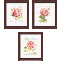 Framed 'Maison Des Fleurs 3 Piece Framed Art Print Set' border=