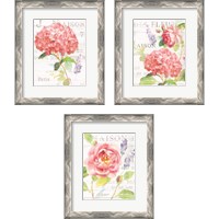 Framed 'Maison Des Fleurs 3 Piece Framed Art Print Set' border=