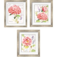 Framed 'Maison Des Fleurs 3 Piece Framed Art Print Set' border=