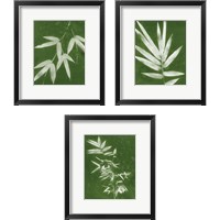 Framed 'Green Spa Bamboo 3 Piece Framed Art Print Set' border=