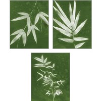 Framed 'Green Spa Bamboo 3 Piece Art Print Set' border=