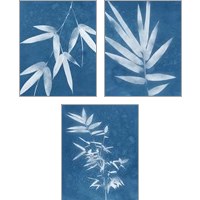 Framed 'Spa Bamboo Blue 3 Piece Art Print Set' border=