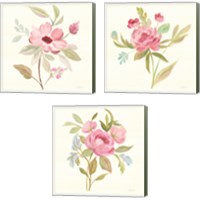 Framed 'Petals and Blossoms 3 Piece Canvas Print Set' border=