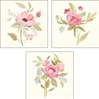 Framed 'Petals and Blossoms 3 Piece Art Print Set' border=