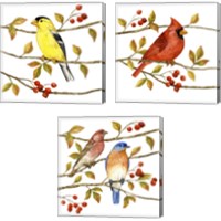 Framed Birds & Berries 3 Piece Canvas Print Set