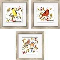 Framed Birds & Berries 3 Piece Framed Art Print Set