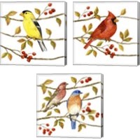 Framed 'Birds & Berries 3 Piece Canvas Print Set' border=