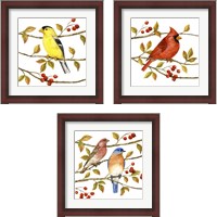 Framed 'Birds & Berries 3 Piece Framed Art Print Set' border=