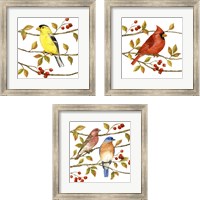 Framed 'Birds & Berries 3 Piece Framed Art Print Set' border=