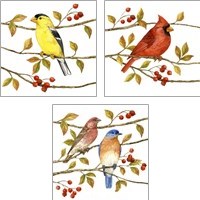 Framed 'Birds & Berries 3 Piece Art Print Set' border=