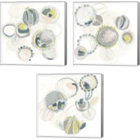 Framed 'Floral Scumble 3 Piece Canvas Print Set' border=