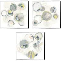 Framed 'Floral Scumble 3 Piece Canvas Print Set' border=