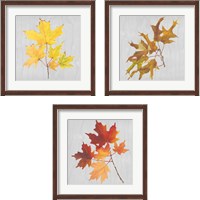 Framed 'Autumn Leaves 3 Piece Framed Art Print Set' border=