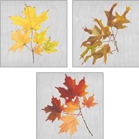 Framed 'Autumn Leaves 3 Piece Art Print Set' border=