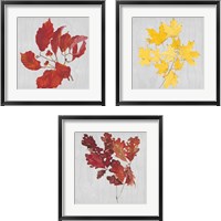 Framed 'Autumn Leaves 3 Piece Framed Art Print Set' border=
