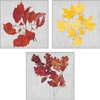 Framed 'Autumn Leaves 3 Piece Art Print Set' border=