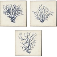 Framed 'Coral Trio in Indigo 3 Piece Canvas Print Set' border=