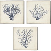 Framed Coral Trio in Indigo 3 Piece Canvas Print Set