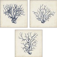 Framed 'Coral Trio in Indigo 3 Piece Art Print Set' border=