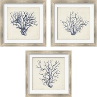Framed 'Coral Trio in Indigo 3 Piece Framed Art Print Set' border=