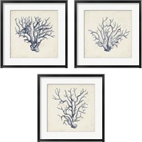 Framed 'Coral Trio in Indigo 3 Piece Framed Art Print Set' border=