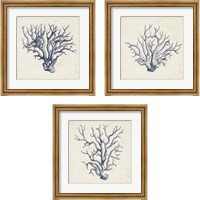 Framed 'Coral Trio in Indigo 3 Piece Framed Art Print Set' border=