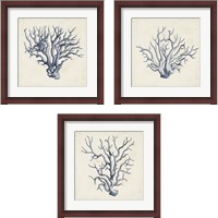Framed Coral Trio in Indigo 3 Piece Framed Art Print Set