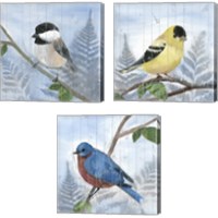 Framed 'Eastern Songbird 3 Piece Canvas Print Set' border=
