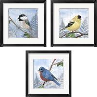 Framed Eastern Songbird 3 Piece Framed Art Print Set