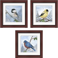 Framed Eastern Songbird 3 Piece Framed Art Print Set