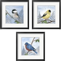 Framed 'Eastern Songbird 3 Piece Framed Art Print Set' border=