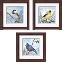 Framed 'Eastern Songbird 3 Piece Framed Art Print Set' border=