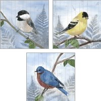 Framed 'Eastern Songbird 3 Piece Art Print Set' border=