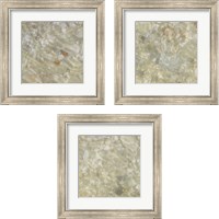 Framed 'Shell Squares 3 Piece Framed Art Print Set' border=