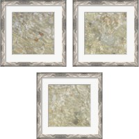 Framed 'Shell Squares 3 Piece Framed Art Print Set' border=
