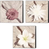 Framed Stone Blossom 3 Piece Canvas Print Set
