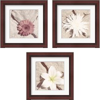 Framed 'Stone Blossom 3 Piece Framed Art Print Set' border=