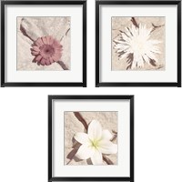 Framed 'Stone Blossom 3 Piece Framed Art Print Set' border=