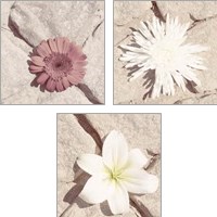 Framed 'Stone Blossom 3 Piece Art Print Set' border=