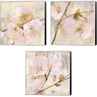 Framed Elegance Pink 3 Piece Canvas Print Set