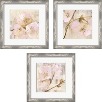 Framed 'Elegance Pink 3 Piece Framed Art Print Set' border=