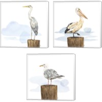 Framed 'Birds of the Coast 3 Piece Canvas Print Set' border=