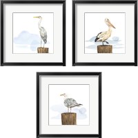 Framed Birds of the Coast 3 Piece Framed Art Print Set