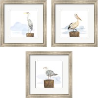 Framed 'Birds of the Coast 3 Piece Framed Art Print Set' border=