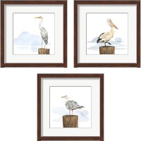Framed 'Birds of the Coast 3 Piece Framed Art Print Set' border=