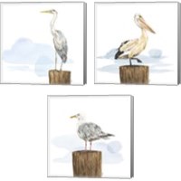 Framed Birds of the Coast 3 Piece Canvas Print Set