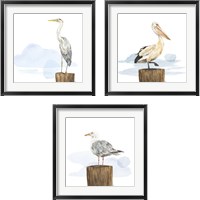 Framed Birds of the Coast 3 Piece Framed Art Print Set