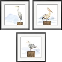 Framed 'Birds of the Coast 3 Piece Framed Art Print Set' border=