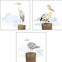 Framed Birds of the Coast 3 Piece Art Print Set